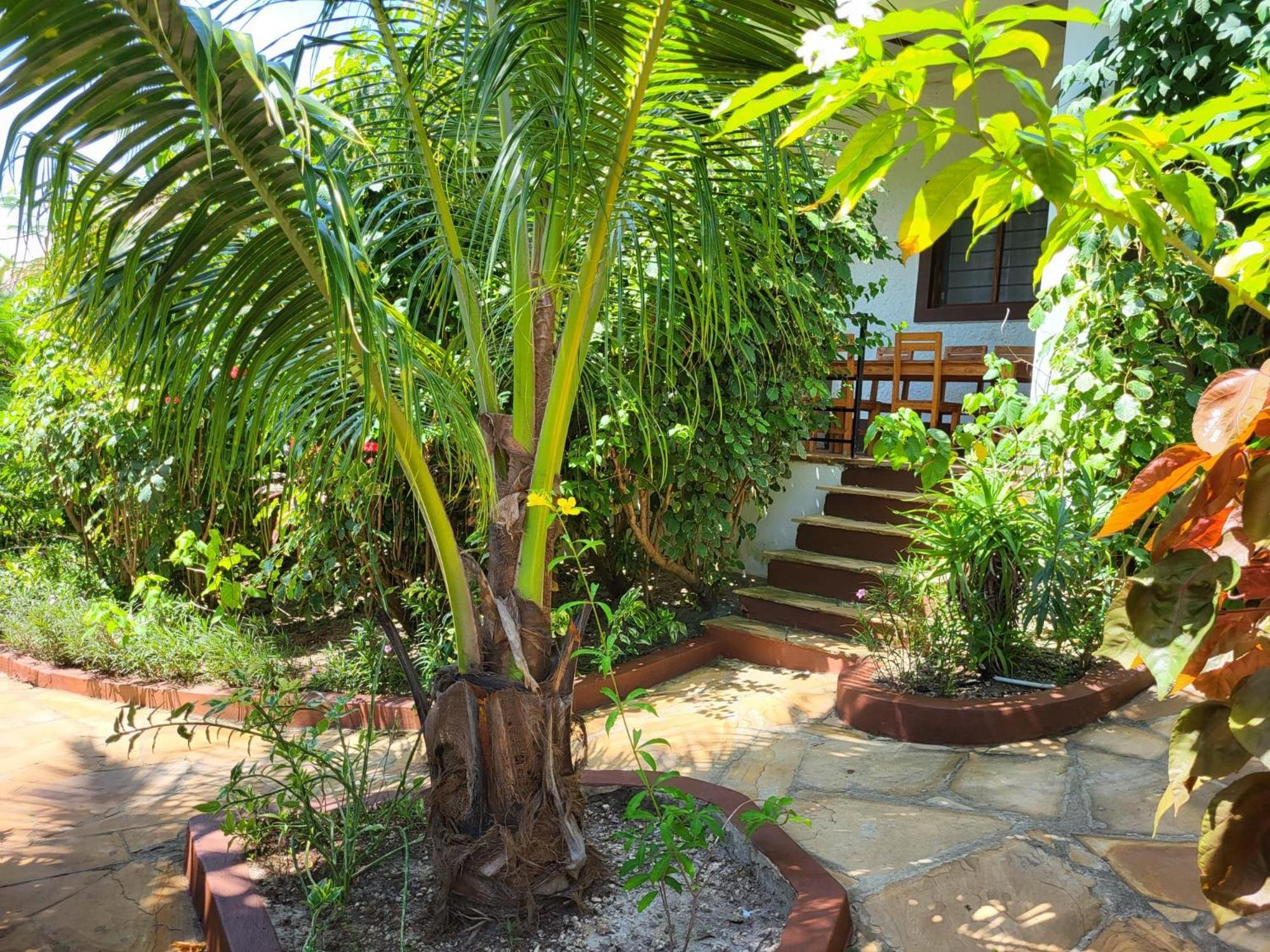 Hotel apartamentowy Nyumbani