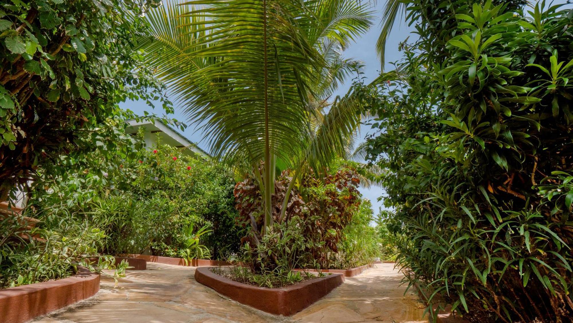 Hotel apartamentowy Nyumbani 3*
