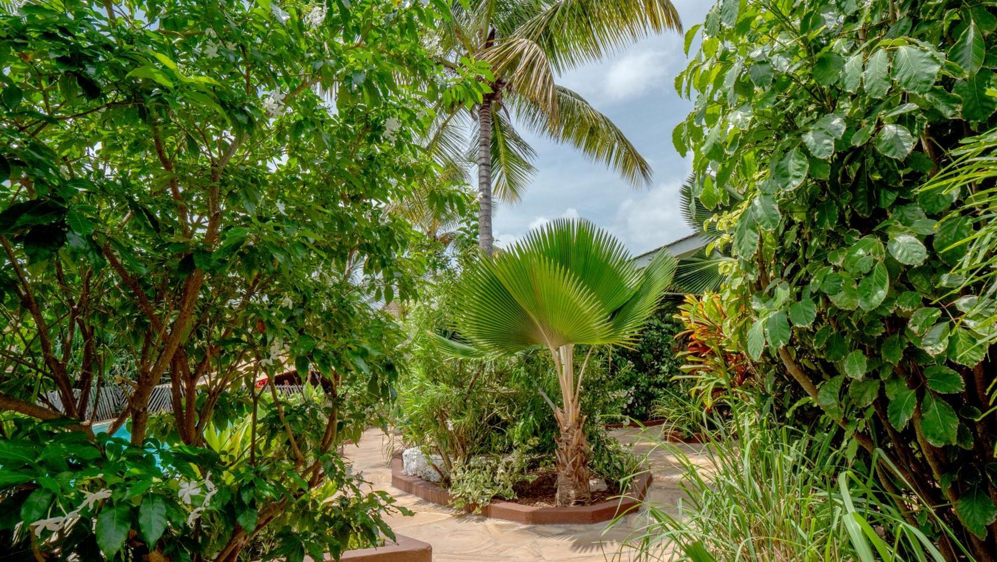 Nyumbani Hotel apartamentowy Jambiani (Zanzibar)