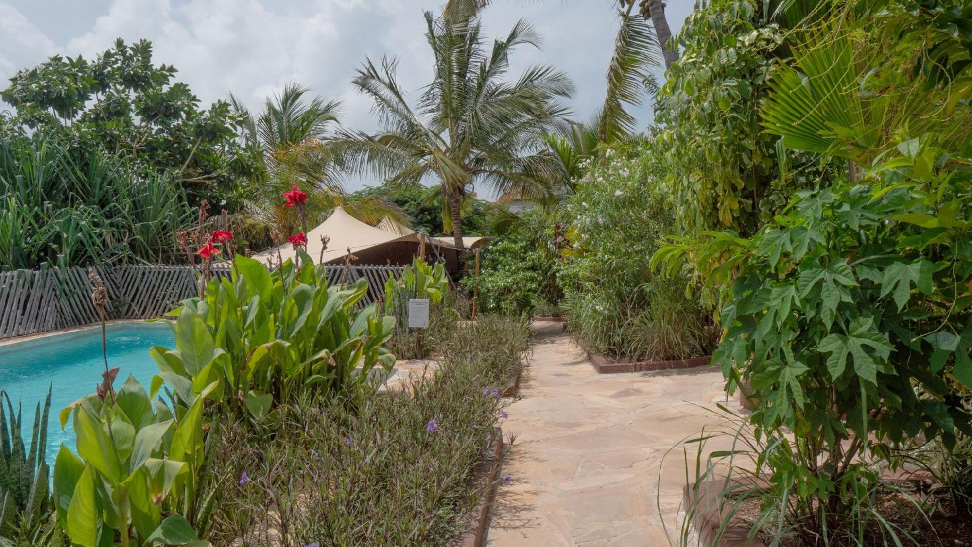 Hotel apartamentowy Nyumbani Jambiani (Zanzibar)
