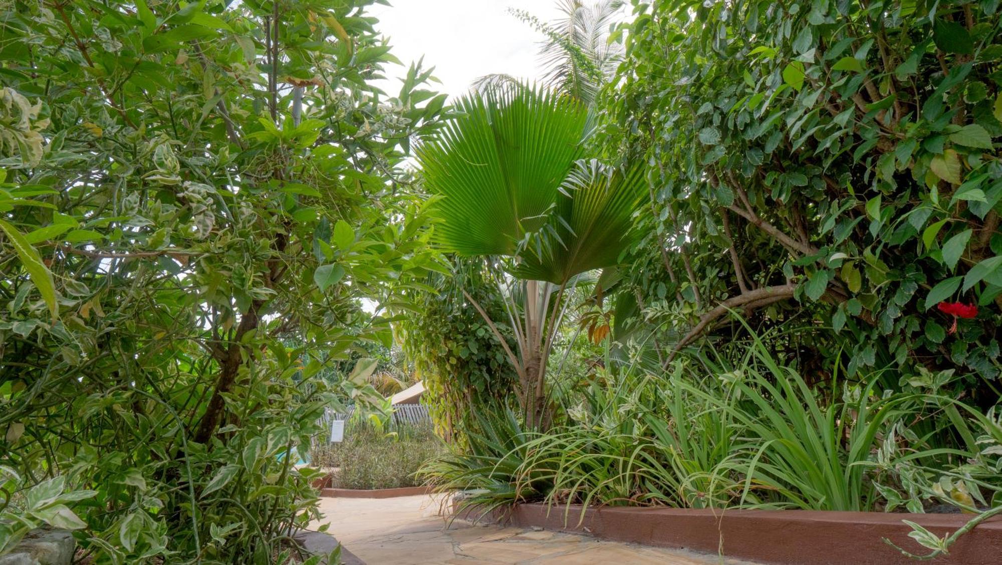 Nyumbani Apart-hotel 3*